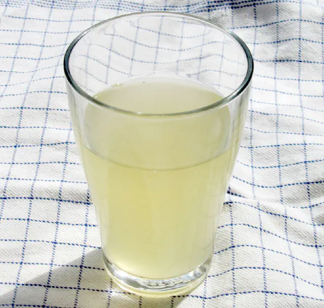 Ginger ale eller andre sodavand med brus - uden maskine