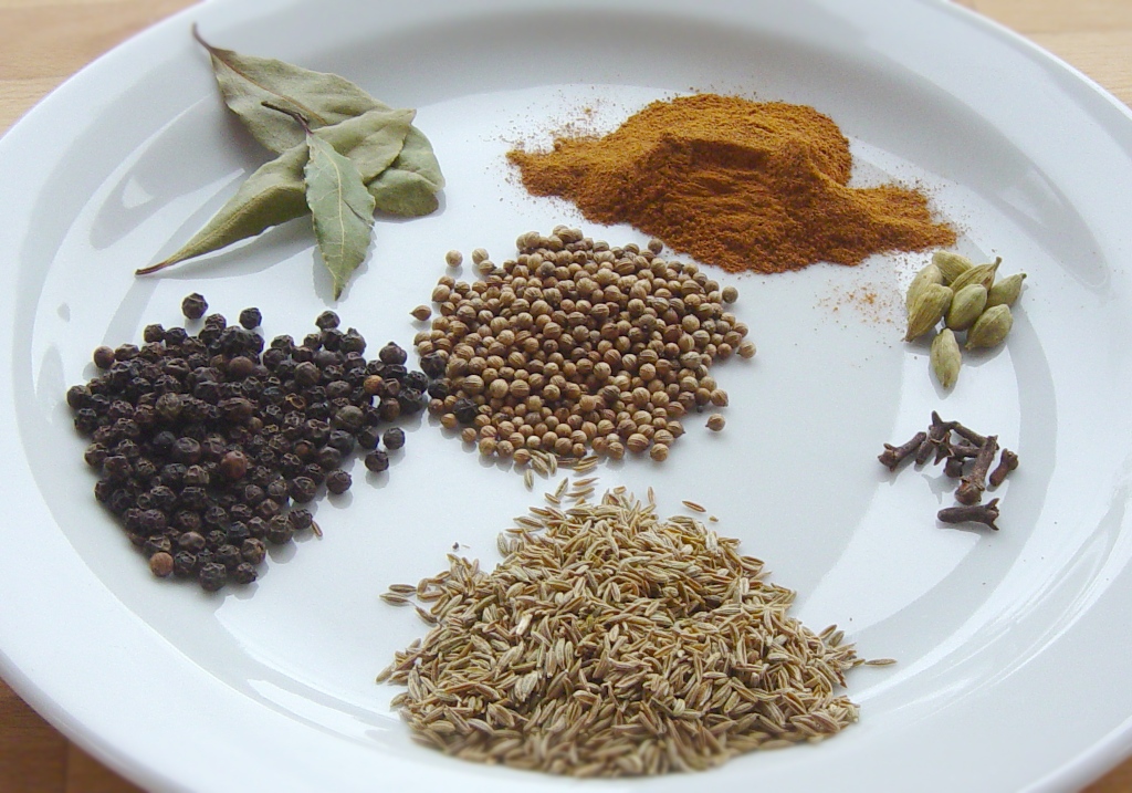 Hjemmelavet Garam Masala