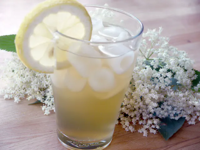 Hyldeblomst saft - Hyldeblomst drik - Hyldeblomstsaft
