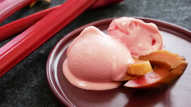 Rabarbersorbet - Rabarberis - Sorbetmetoden